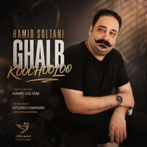 دانلود آهنگ قلب کوچولو حمید سلطانی