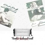 دانلود آهنگ تنها نبود ولی مهدی مانسل