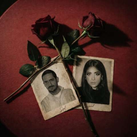 دانلود آهنگ شاخه ی گل سیجل و سوگند