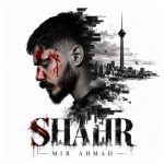 دانلود آهنگ شهر میر احمد